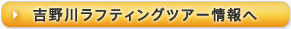吉野川ラフティングのツアー情報