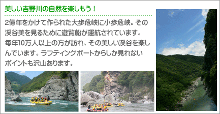 吉野川には美しい峡谷があります