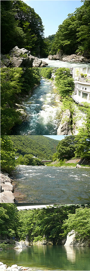 0906081.jpg