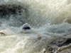 20070809pm5.jpg