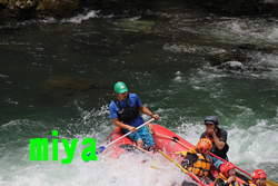 20140620miya.jpg