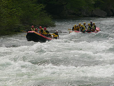 P1160176.jpg