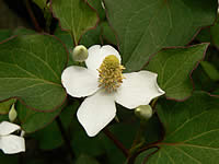 070531o2.jpg