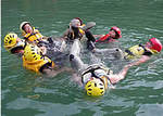 070731fat2.jpg