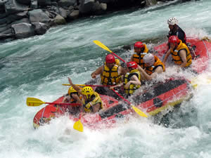 070812pbhum.jpg