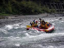 070823fa2.jpg