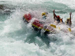 0708abhum2.jpg