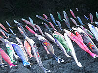 0803301-1A.jpg
