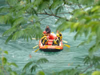 080717one3.jpg