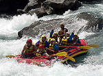 20060806nori1.jpg