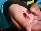 20060810fa3.jpg