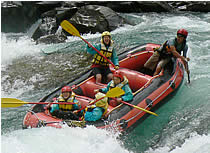 20060817tom1.jpg