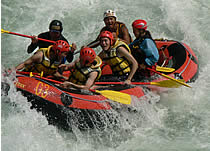 2006825nori2.jpg