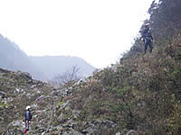 20070324b.jpg