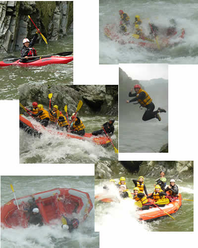 20080629 one.jpg