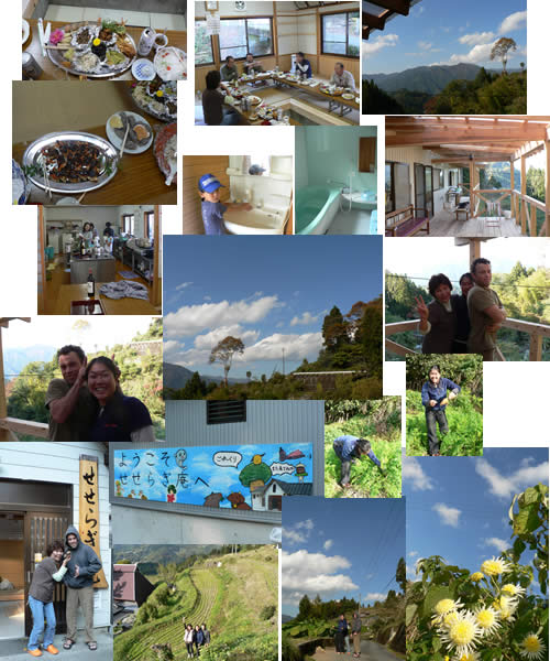 20081117.jpg