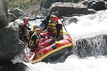 IMG_1649.jpg