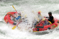 IMG_3795.jpg