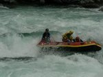 P1130687yah.jpg