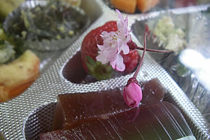 hanami-3.jpg