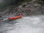 nz8.jpg