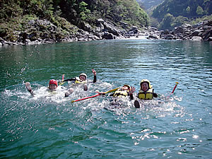 p292.jpg