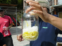 yuzu8.jpg