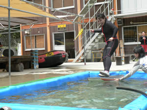 070730ps1.jpg
