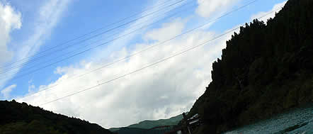 070809yam2.jpg