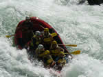 070810oney6.jpg