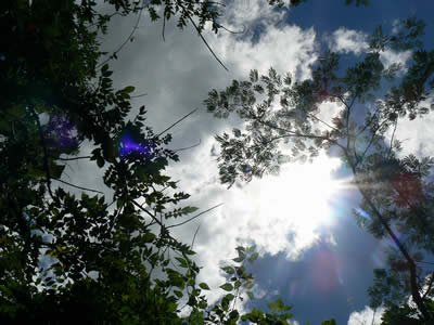 070811am1.jpg