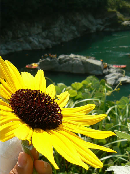 070908a0.jpg
