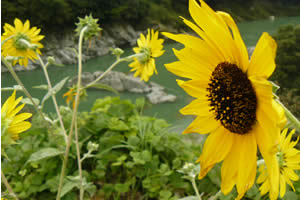 070921-2.jpg