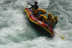 0907taga1.jpg