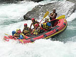 20060805nori1.jpg