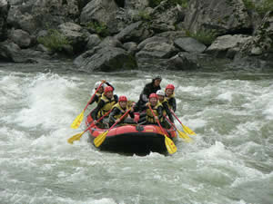 20070707y1.jpg