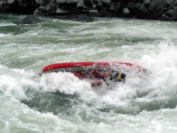20070721b2.jpg