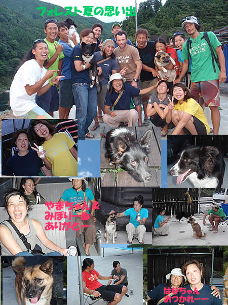 20100830staf.jpg