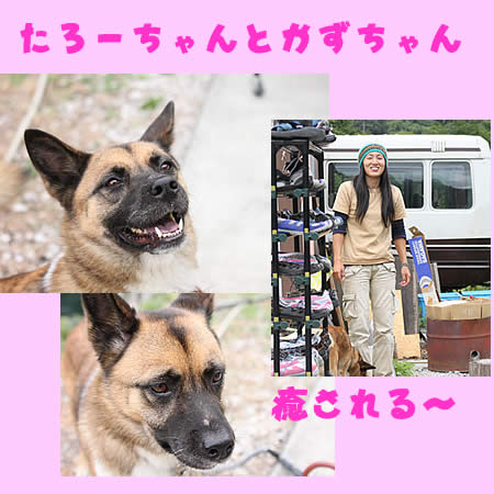 20100926.jpg