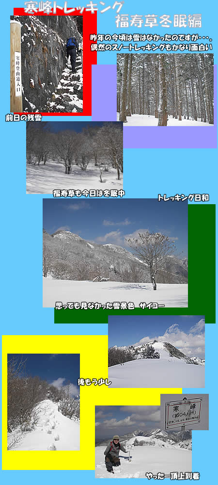20110311.jpg
