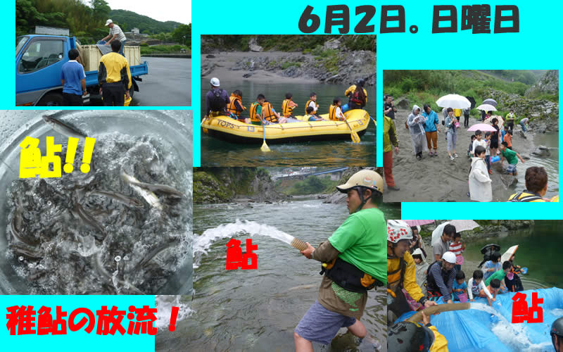 20130602ayu.jpg