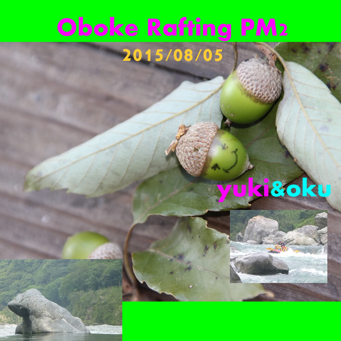 20150805pm2.jpg