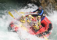 IMG_1897taiga2.jpg