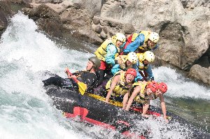 IMG_2631casey.jpg