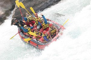 IMG_3113taiga.jpg