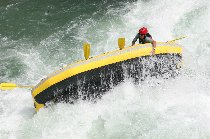 IMG_4175tom2.jpg