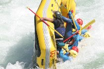 IMG_4451yossy.jpg