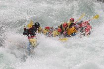 IMG_5281yah2.jpg