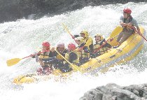 IMG_7237tom.jpg