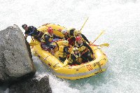 IMG_8393taiga.jpg